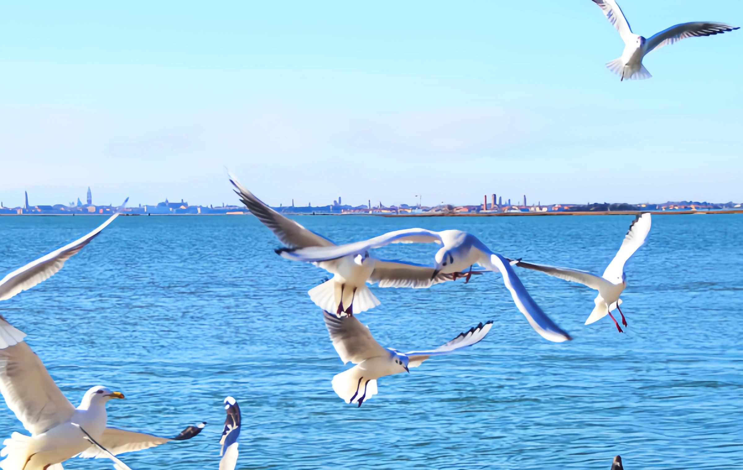  デイアンチ湖:「プラトーの真珠」からスプリングシティの受付ホールまでのミレニアム・ポエチック・ジャーニー-3