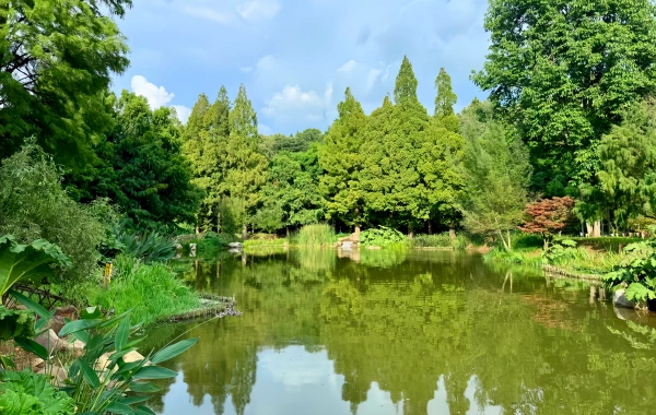 Kunming Botanischer Garten West Garden: Ein kondensiertes Epos von Berggarten bis Pflanzenreich-3
