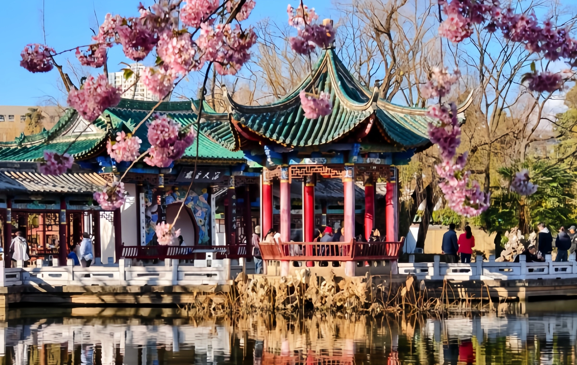 Parque Cuihu: Un milenio de 
