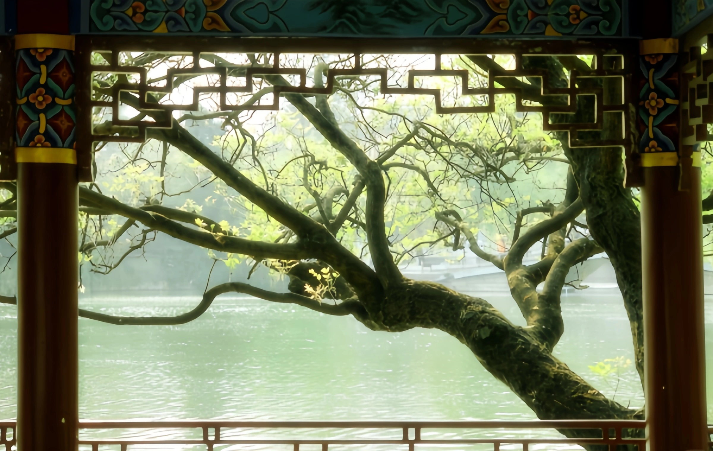 Parque Cuihu: Un milenio de 