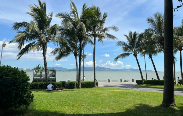 Shenzhen Bay Park: Eine Transformation von küstennahen Mudflats zum urbanen grünen Herzen-3