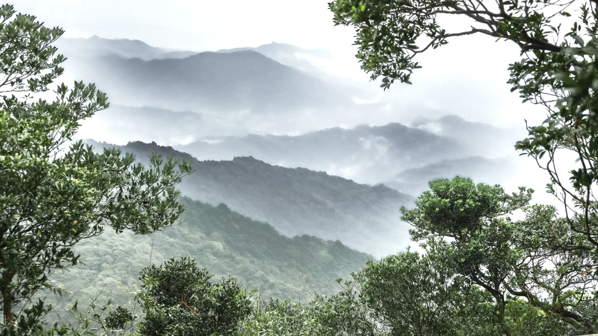 Luofu Mountain: un viaggio alla scoperta del Paese delle meraviglie della Premier Mountain di Lingnan-2
