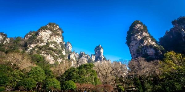 Zhangjiajie National Forest Park: قصة أسطورية من الأسرار الجيولوجية إلى التراث الطبيعي العالمي-2