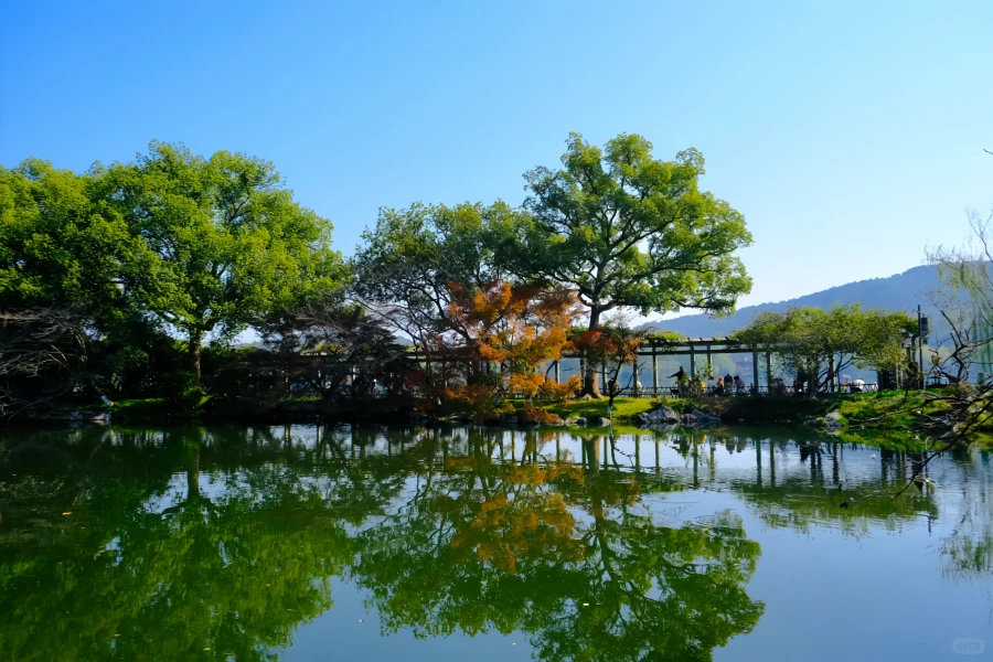 Prince Bay Park: A Rebirth Journey from West Lake Silt Site to Springtime Peak-2