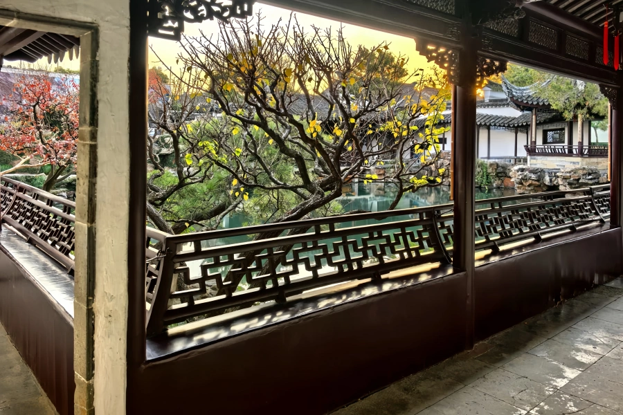 Master of the Nets Garden: A vast world nestled within a small mountain forest-4