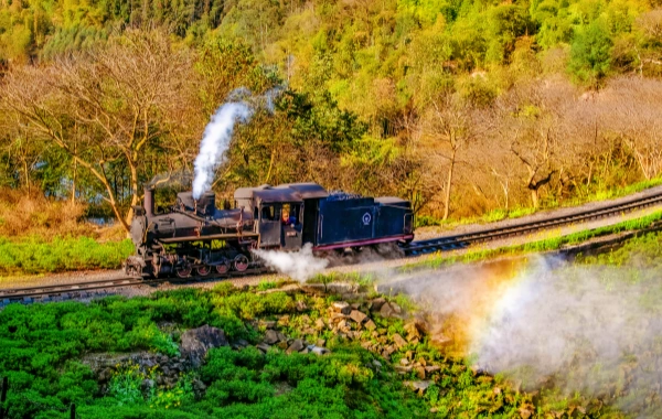 Jiayang pequeño tren: un fósil viviente de la revolución industrial que pasa por el mar de flores-3