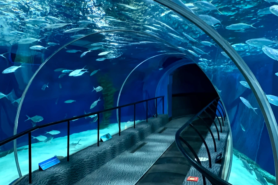 Acuario del Océano de Shangai: Viaje panorámico desde el río Yangtze hasta el mar profundo