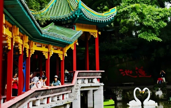 Eling Park: A Journey Through a Century-Old Garden and Panoramic Views of Two Rivers from the Chongqing Peninsula Summit-2