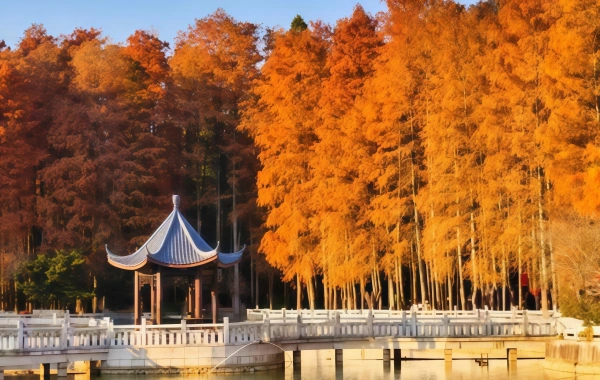 Fuzhou National Forest Park: A Green Lung in the City and a Natural Epic of the Millennium Banyan King-3