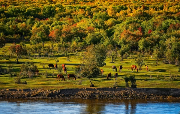 Ergun Wetland:A Journey to