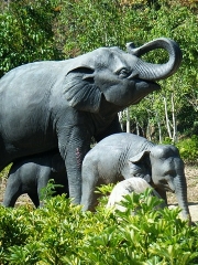 Xishuangbanna Subtropical Nature and Culture Tour