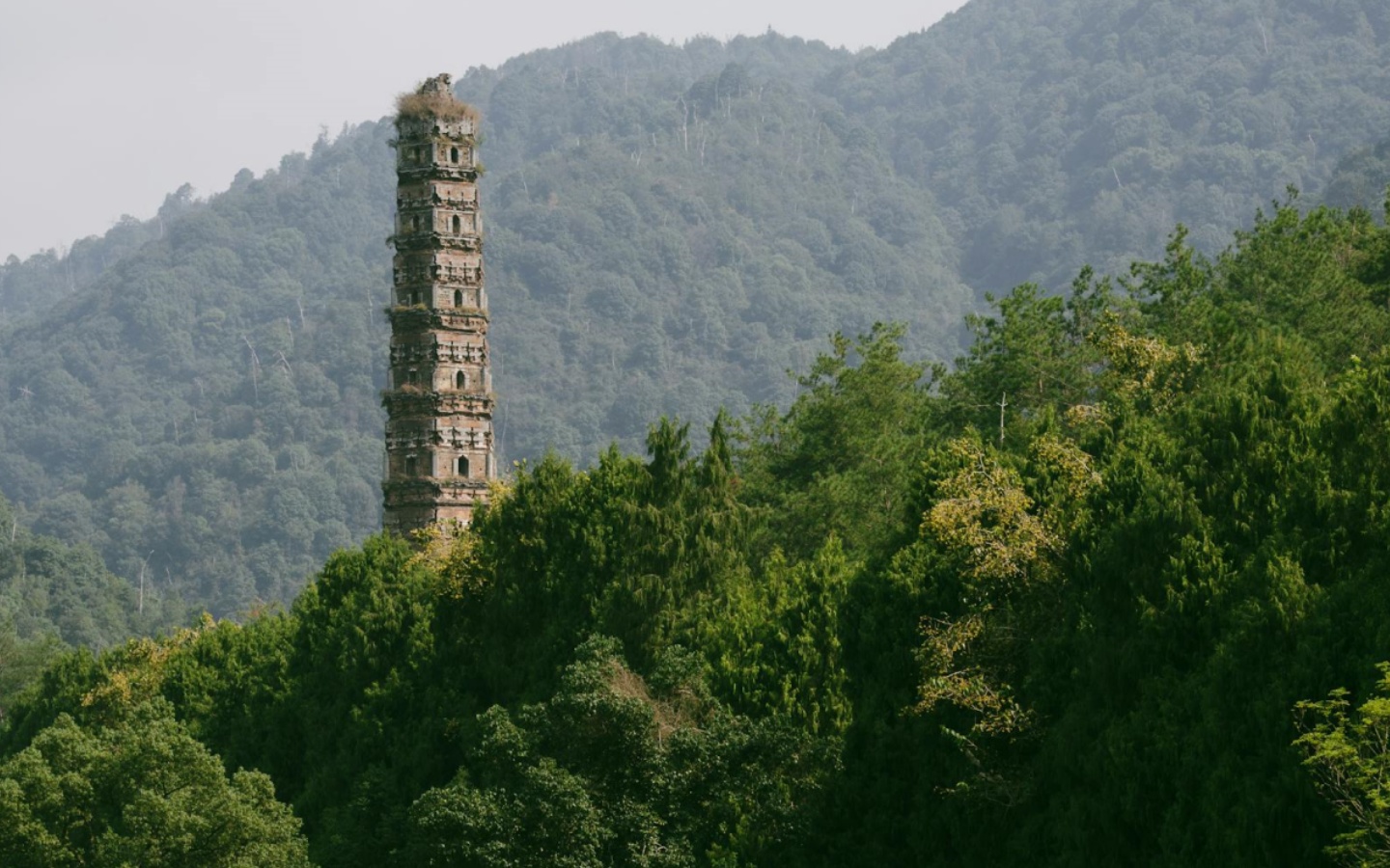 Day 5: Nanjing--Mount Huang