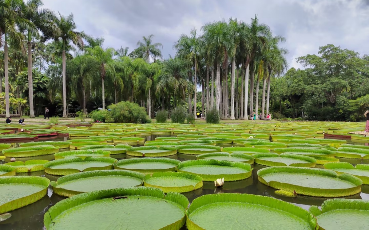 Day 3: Xishuangbanna