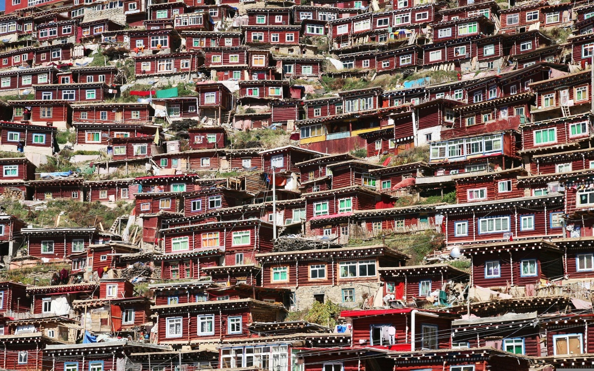 اليوم الأول: ليزا آرفال