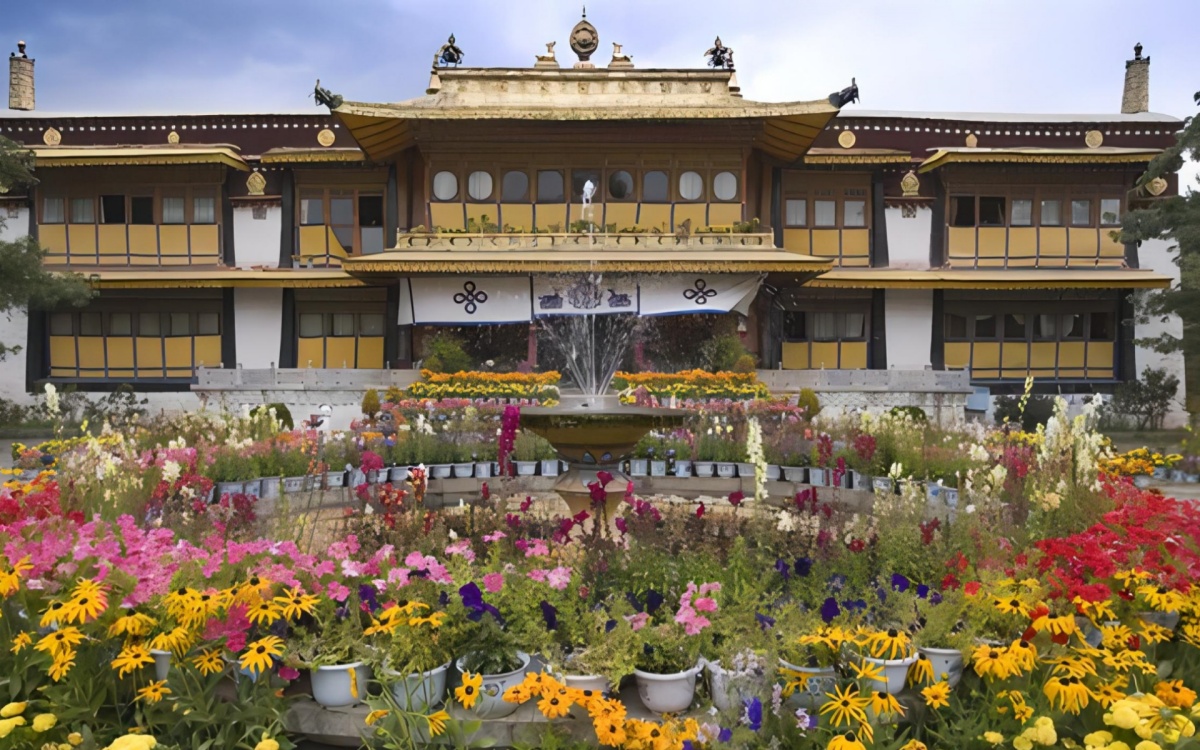 اليوم 5: لاسا