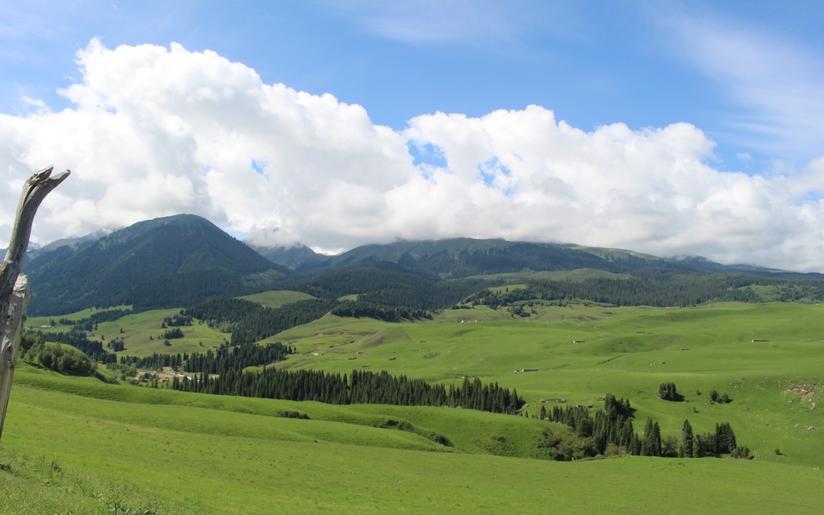 Tag 1: Ankunft in Urumqi