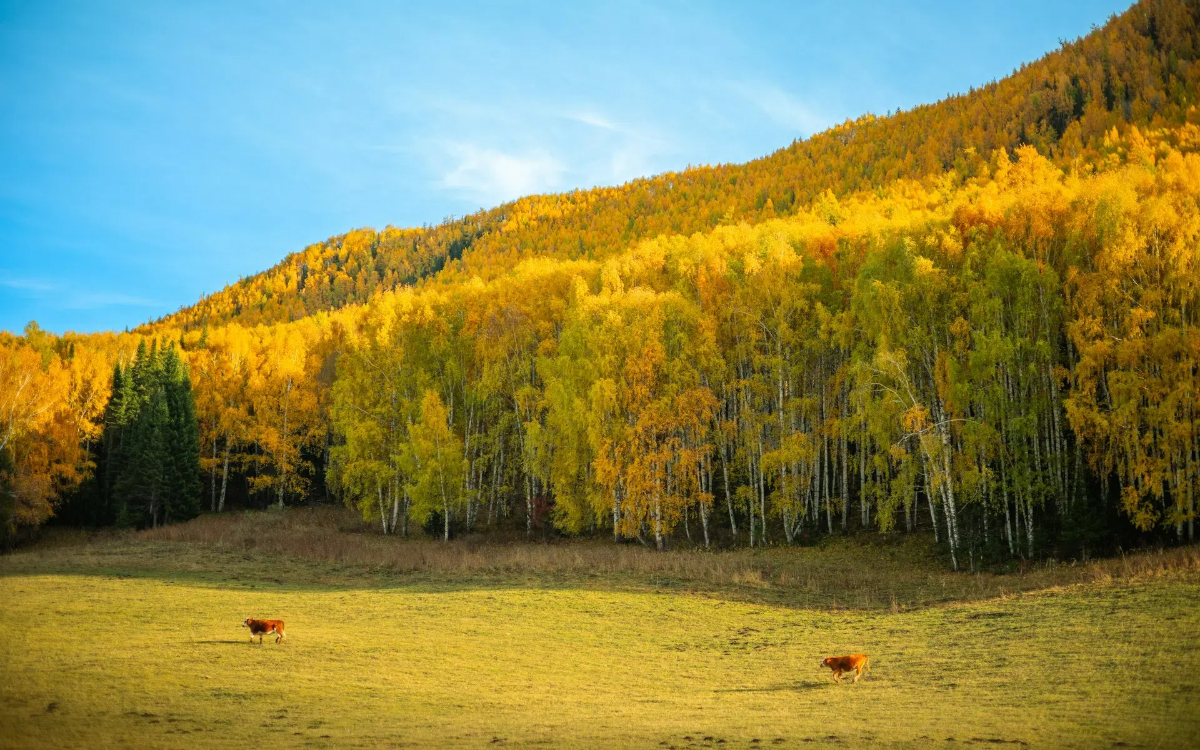 Day 4: Burzin County - Hemu village