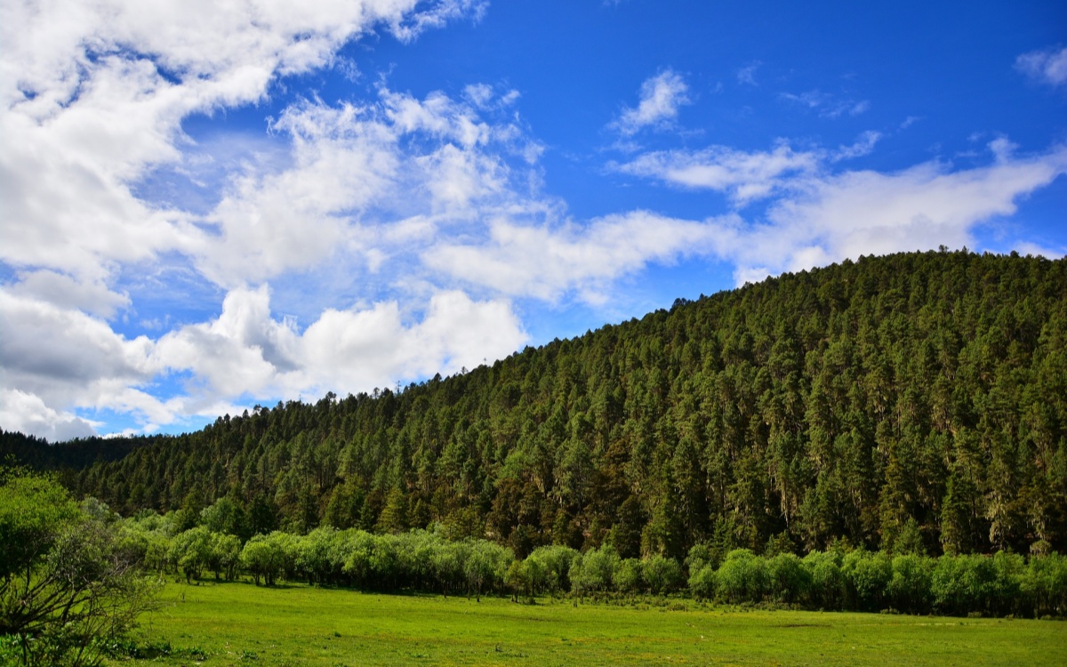 Tag 7: Pudacuo Nationalpark & Abreise