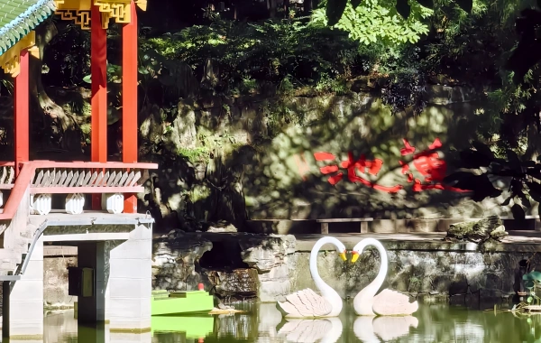 Eling Park: A Journey Through a Century-Old Garden and Panoramic Views of Two Rivers from the Chongqing Peninsula Summit