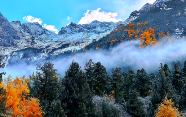 Bipeng Valley: A Four-Season Fairytale from Wilderness to Western Sichuan's Paradise-4