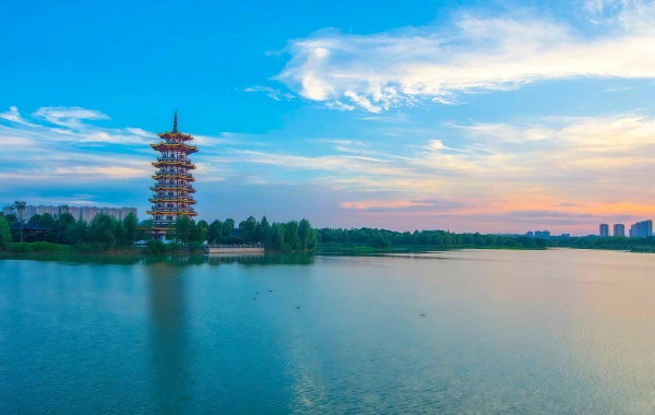 Yanghu Wetland Park:A Journey of Rebirth for Humanity and Nature in Central-South China’s Largest Urban Wetland