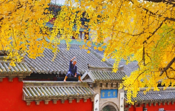 اليوم 3: شنغهاي - لويانغ