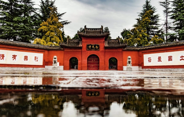 اليوم 3: شنغهاي - لويانغ