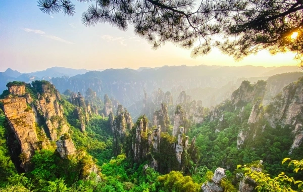 Giorno 3: Shanghai - Zhangjiajie