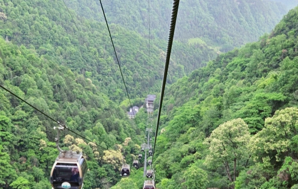 Giorno 4: Parco nazionale della foresta di Zhangjiajie