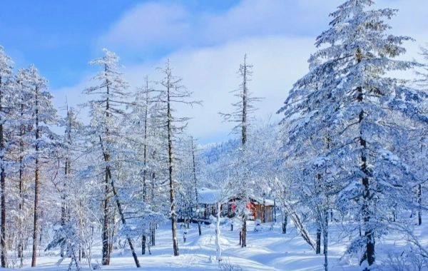   Day 7: Harbin to Snow Town