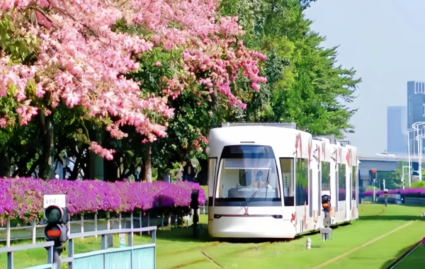 اليوم 1: غوانغزو