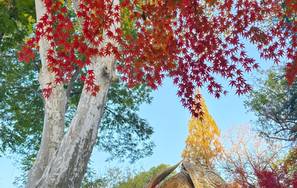 Furong Ancient Town