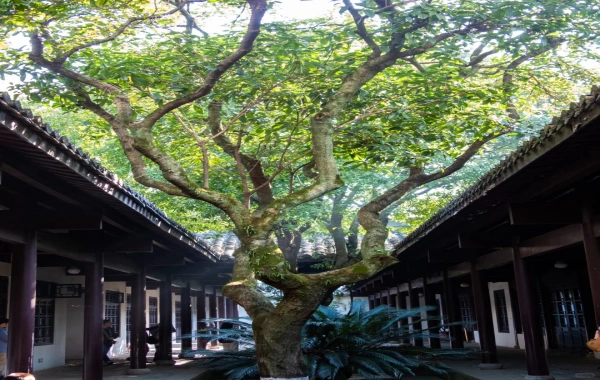 Furong Ancient Town