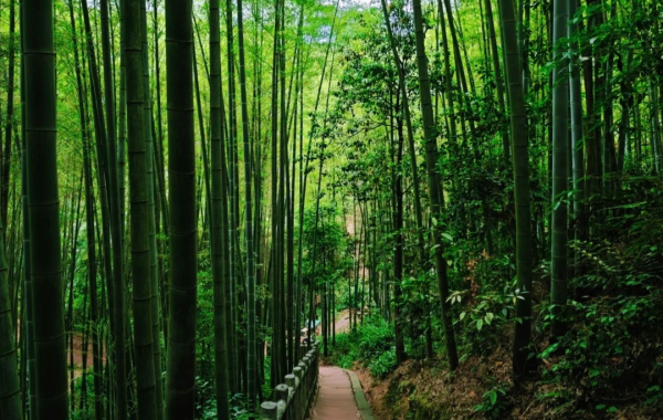 Furong Ancient Town