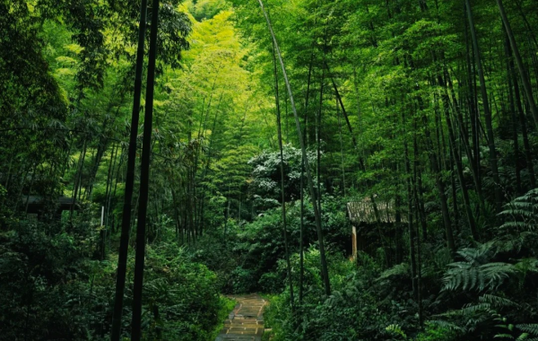 Furong Ancient Town