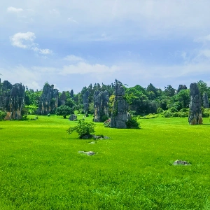 Yunnan Stone Forest & Terrace Tour