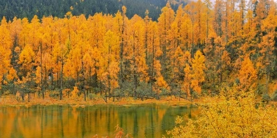 Day 3: Siguniang Mountain