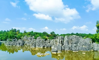 Day 2: Stone Forest Area