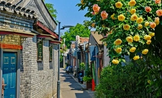 Day 11: Depart from Beijing