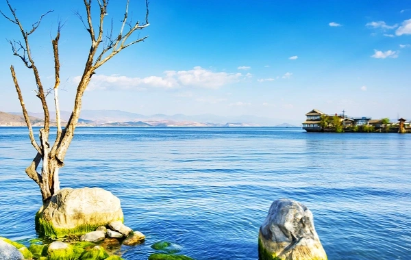 1 Days Dali In-Depth Tour