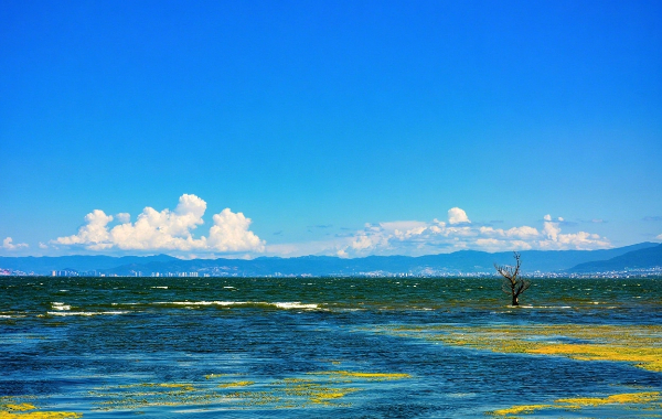 Day 3: Dali - Lijiang