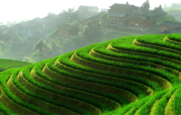 Day 5: Guilin-Guiyang