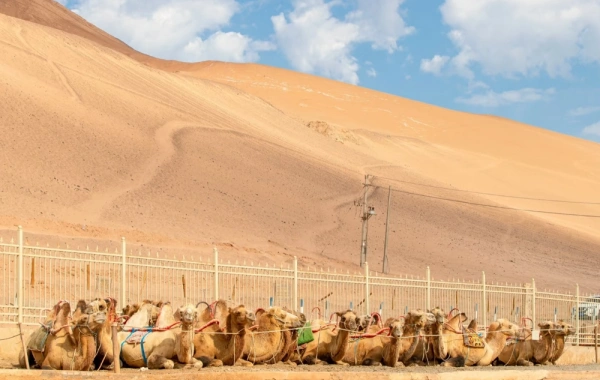 Día 3: Montaña Flaming (Conducción Escénica) – Gran Cañón Tuyugou – Bezeklik Thousand Buda Cuevas