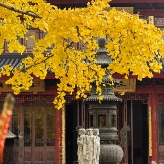 Chengdu Leshan Chongqing Cultural&Natural Tour