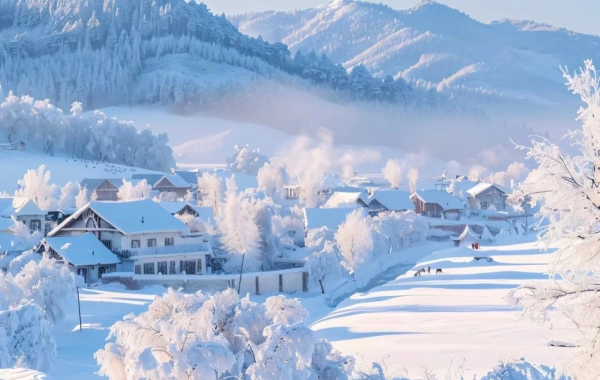 2日目:ハルビン&出発