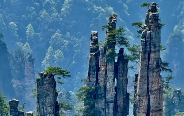 Day 8: Zhangjiajie