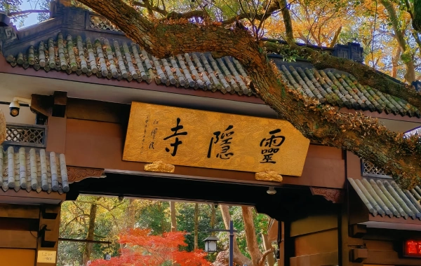 اليوم الخامس: هانغتشو ديراج