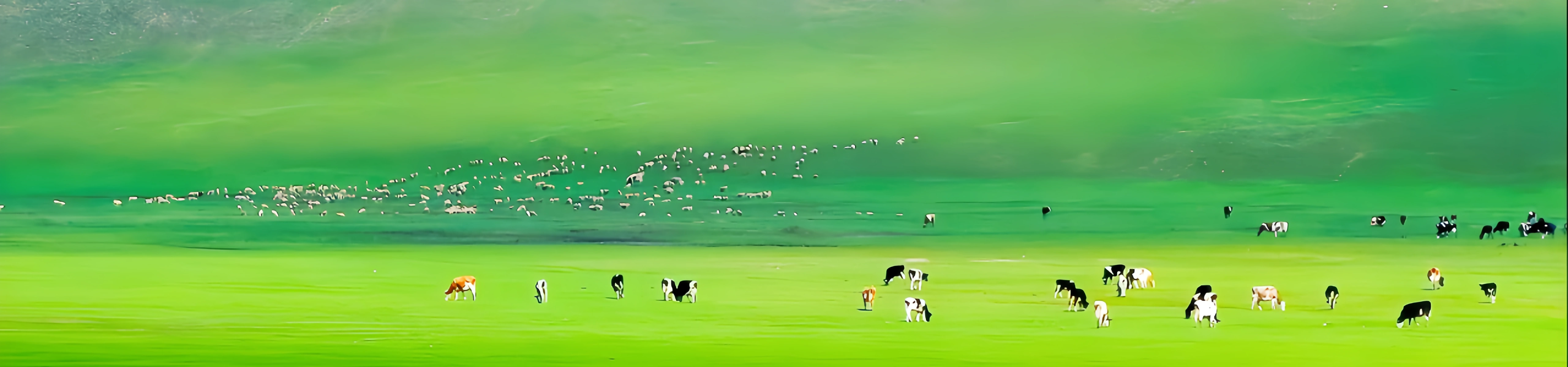 Taiyuan-Datong-Hohhot Guide de voyage approfondi