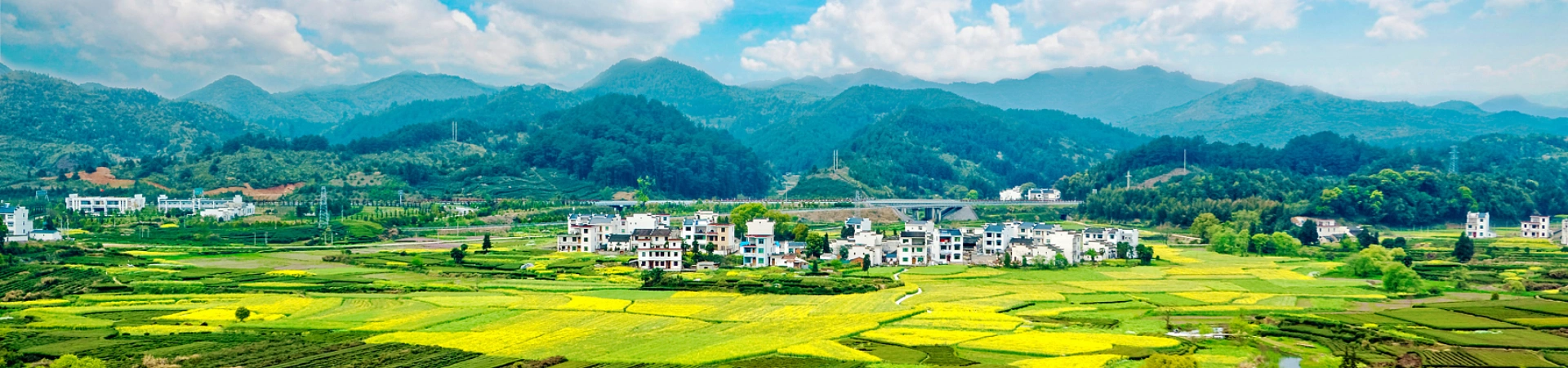 Huangshan Wuyuan Wangxiangu Tour de 4 días