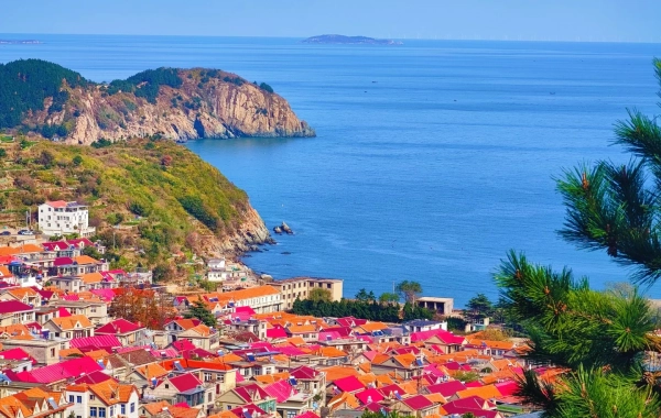 Giorno 2:Qingdao - Weihai